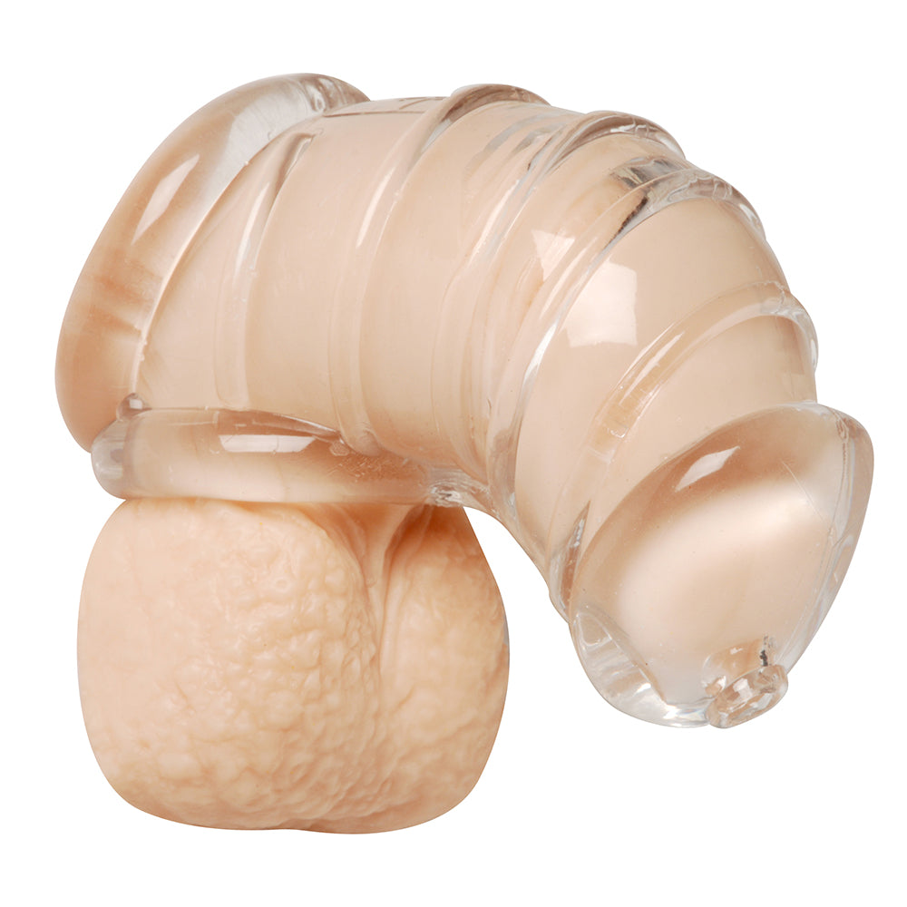 XR BRANDS - MASTER SERIES DETAINED SOFT BODY CHASTITY CAGE CLEAR