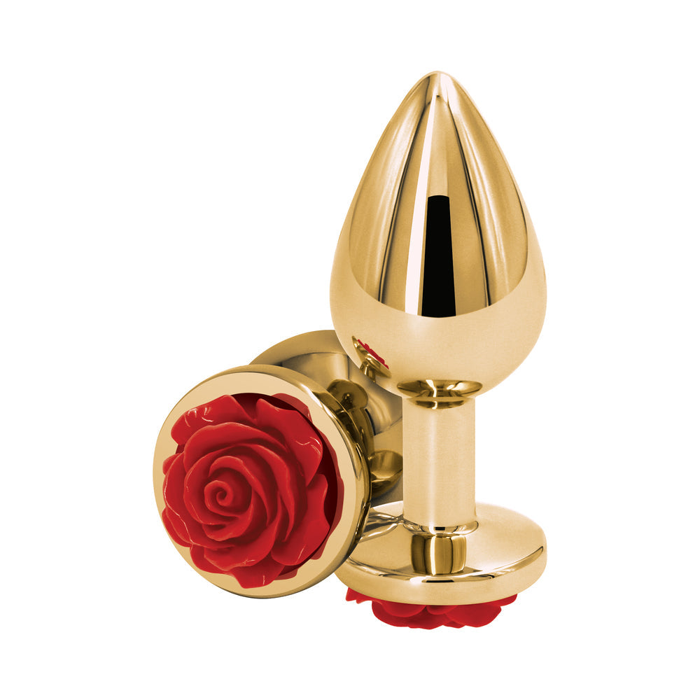 NS NOVEDADES - ENCHUFE ANAL ROSA DE ACTIVO TRASERO MEDIANO