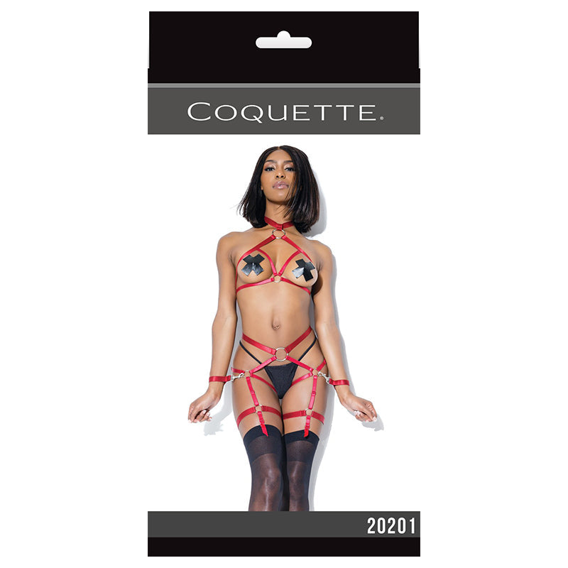 DARQUE HARNESS TOP AND CROTCHLESS PANTY MERLOT