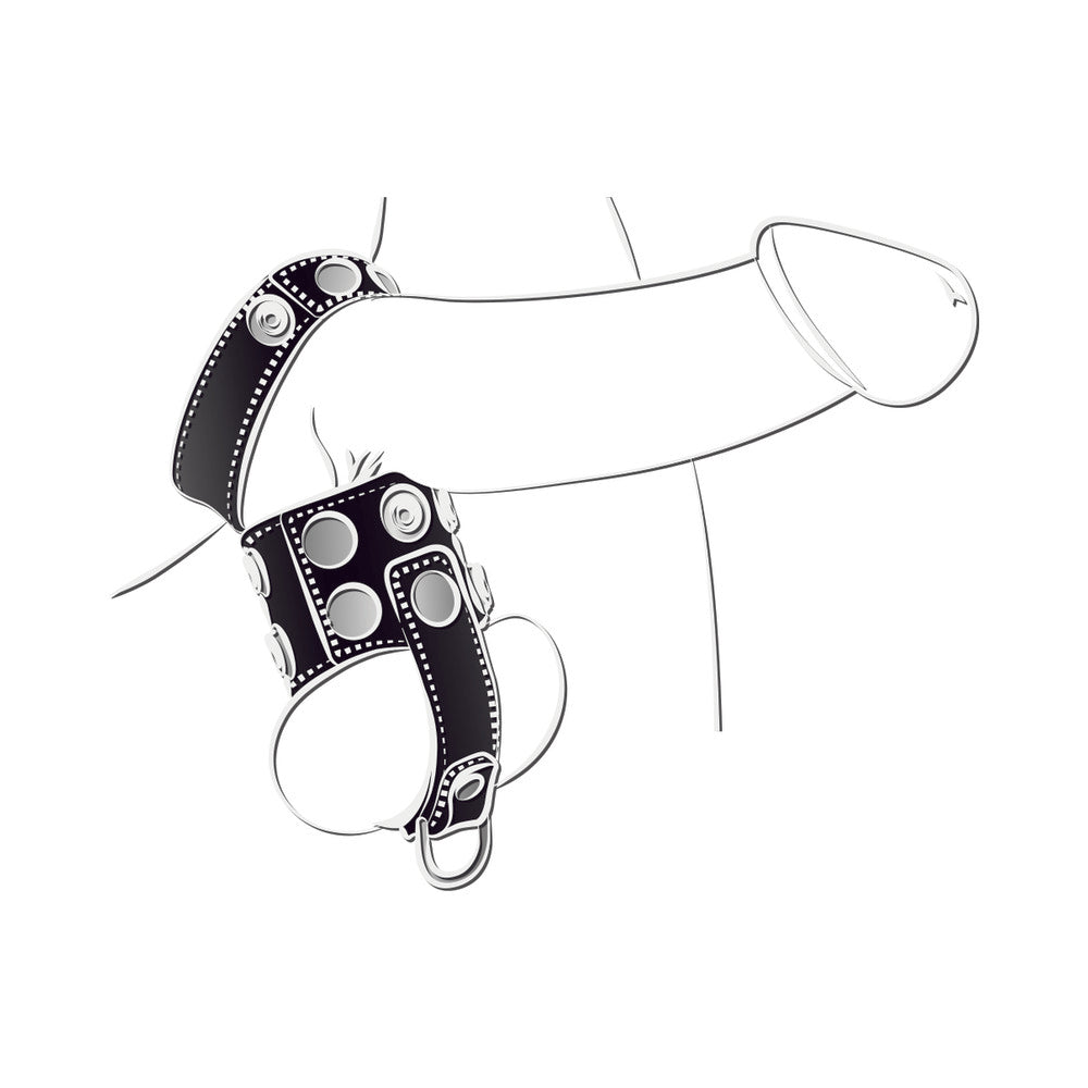 NASSTOYS - BALLGEAR BALL STRETCHER WITH SEPARATOR & D-RING - BLACK