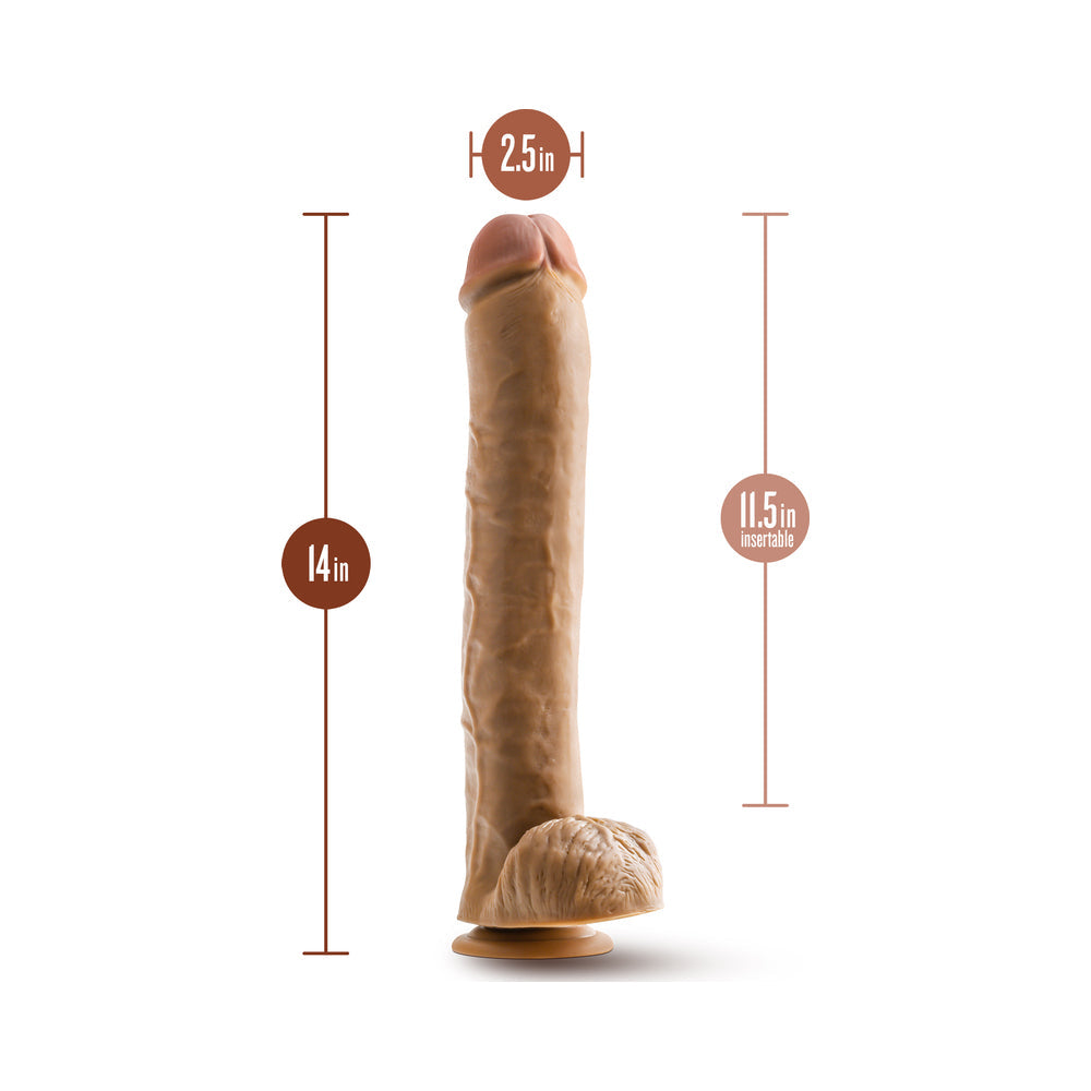 BLUSH - DR. SKIN DR. MICHAEL 14 IN. DILDO WITH BALLS