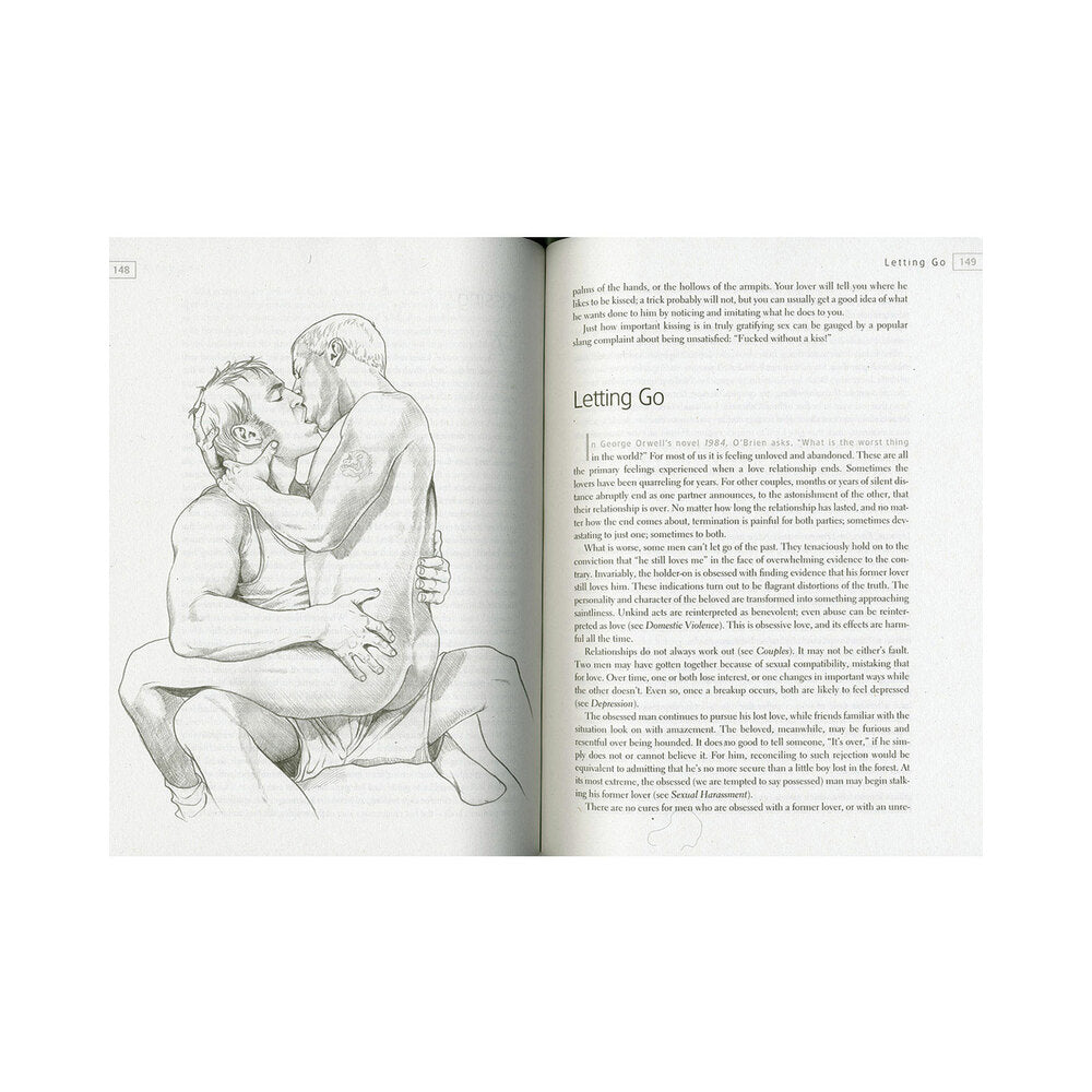 HARPER COLLINS - THE JOY OF GAY SEX