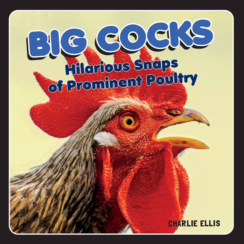 HACHETTE - GRANDES POLLAS: INSTANTÁNEAS HILARANTES DE AVES DE CORRAL PROMINENTES