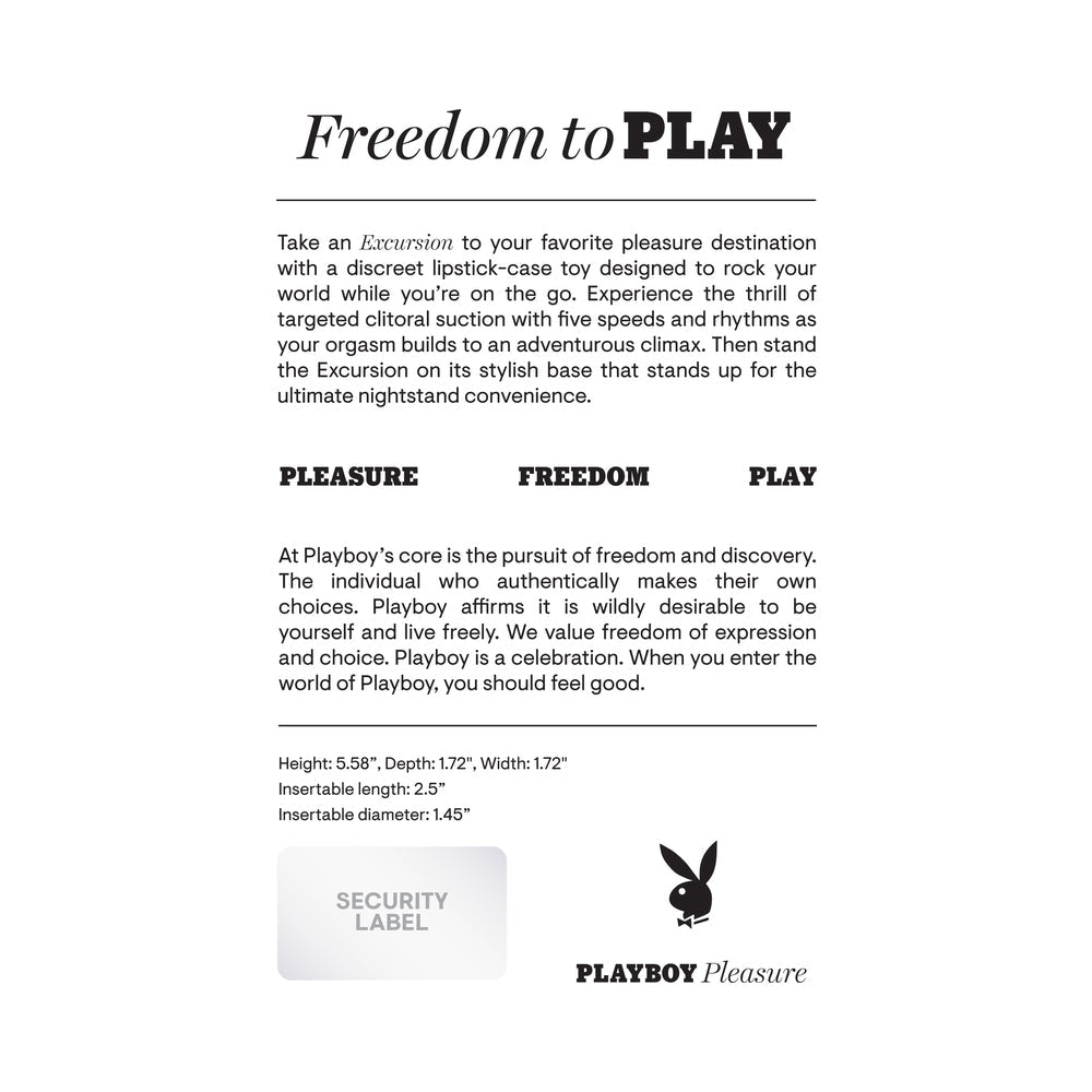 EXCURSION RECHARGEABLE SUCTION VIBE SILICONE 2AM