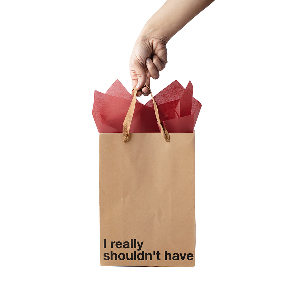 WOOD ROCKET - SNARKY GIFT BAGS I REALLY SHOULDN'T HAVE 3PK