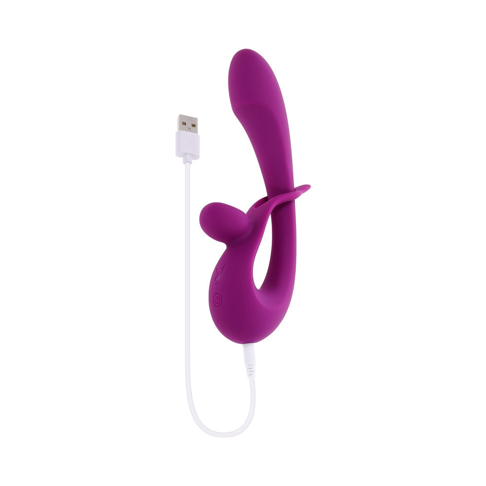PLAYBOY - CHA CHA SLIDE WILD ASTER