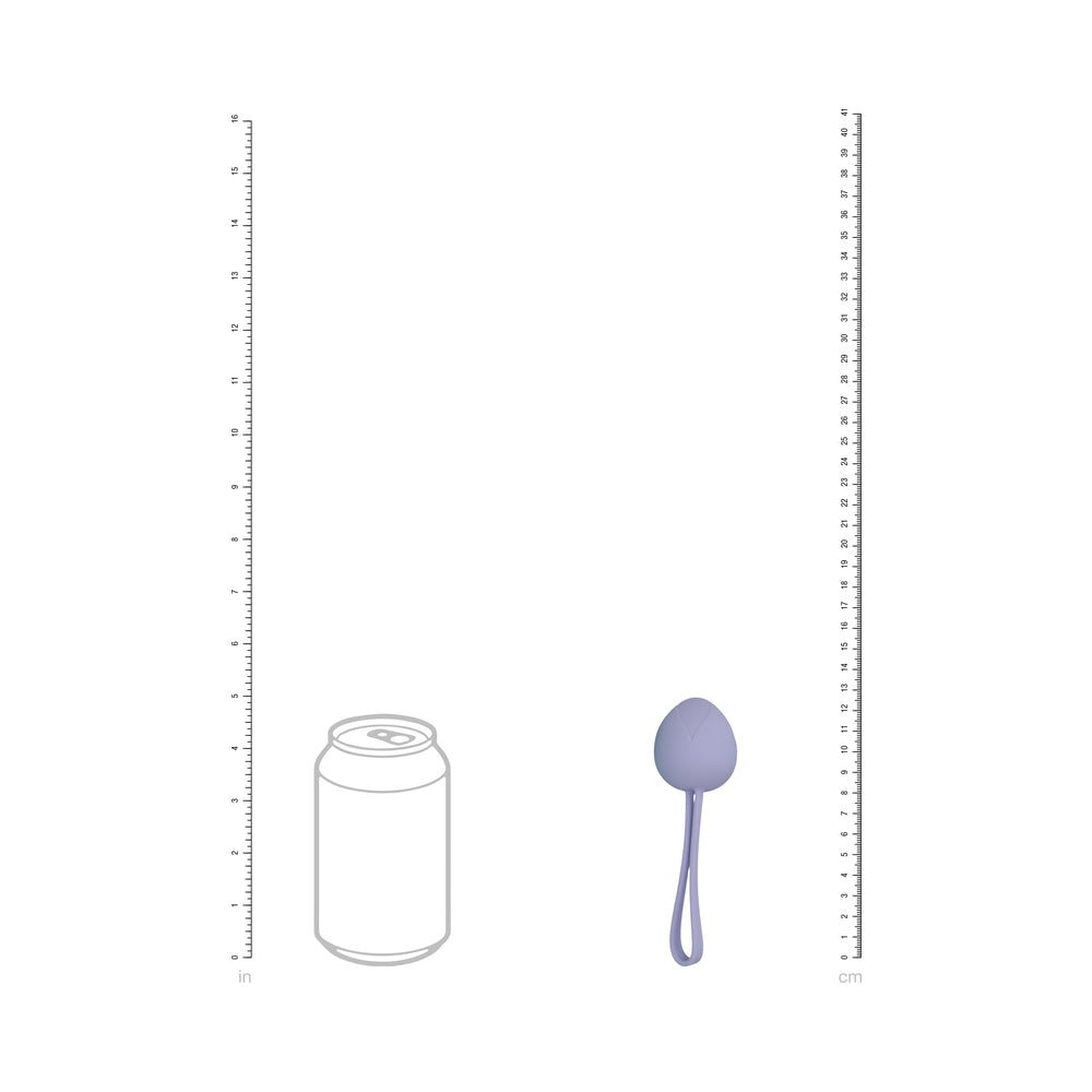 SHOTS - LOVELINE PELVIFIT BERRY KEGEL KIT MULTIWEIGHT WATERPROOF MULTICOLOR