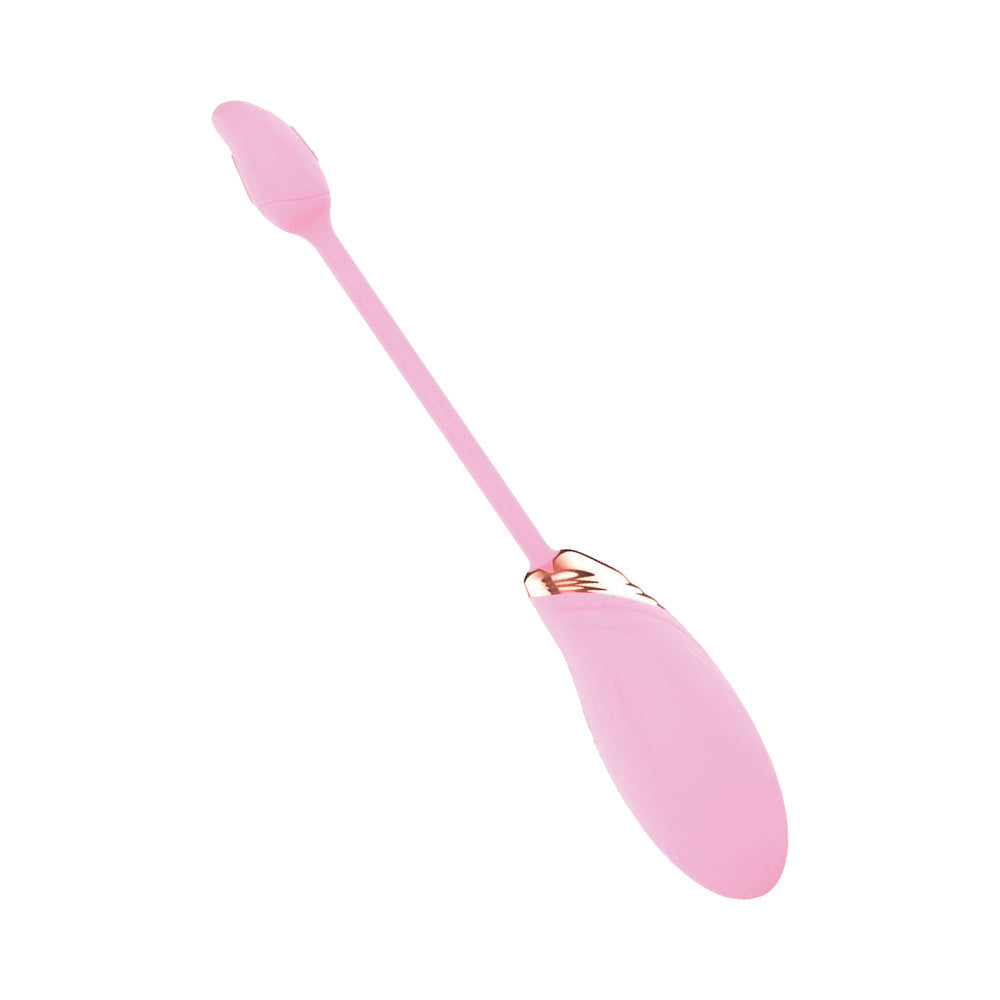 NASSTOYS - BLAZE DUAL MASSAGER KIT