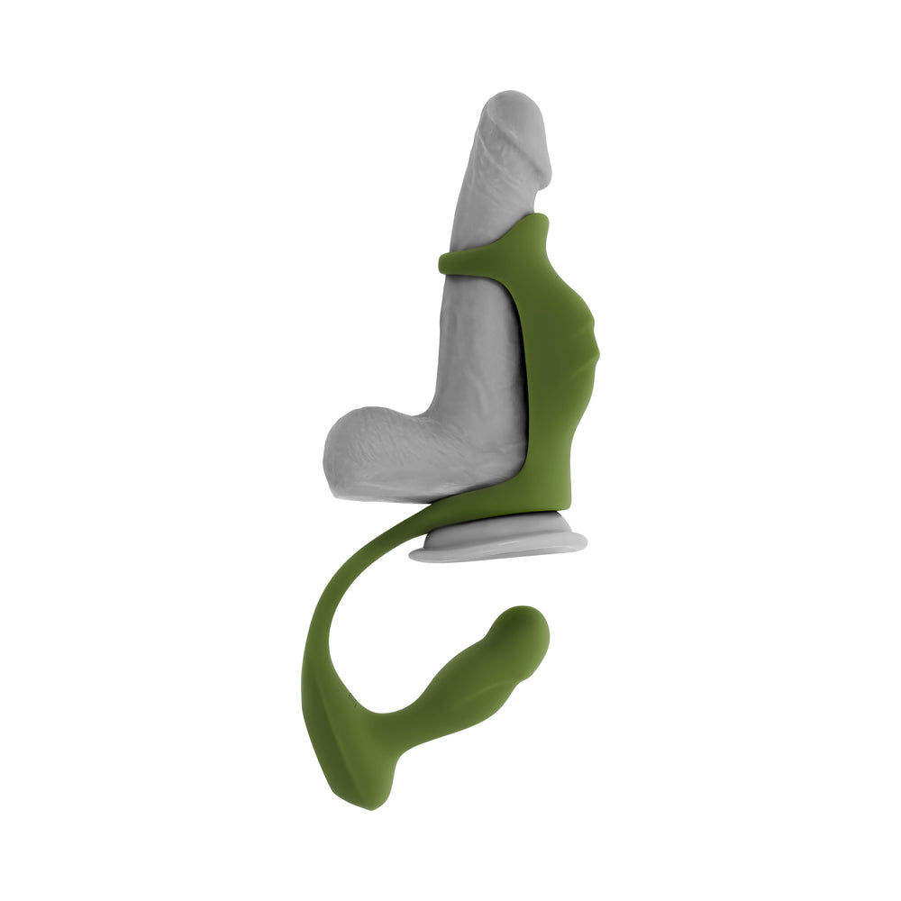 ZÉRO TOLÉRANCE - PROSTATE POWER PACK GREEN