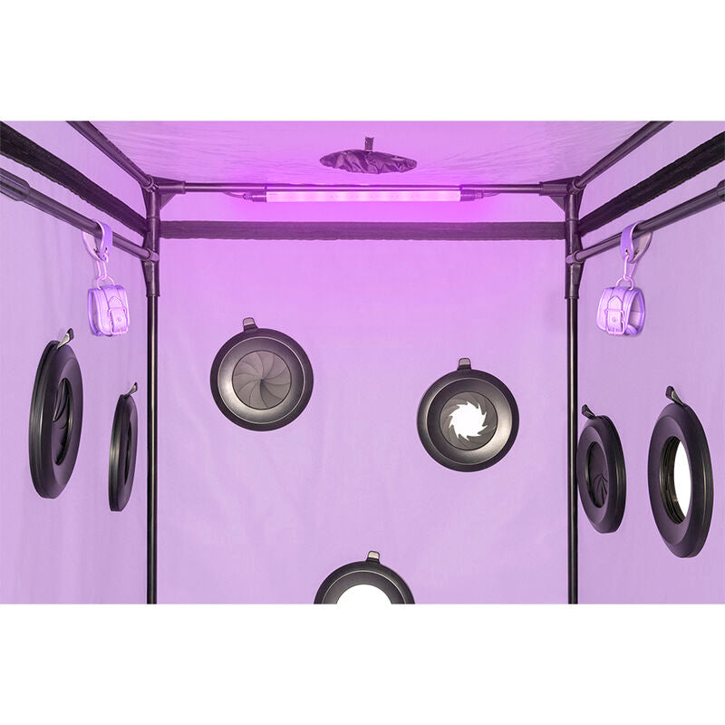 SECRET DOME - CABINE KINK CLUB SCANDALE VIOLET
