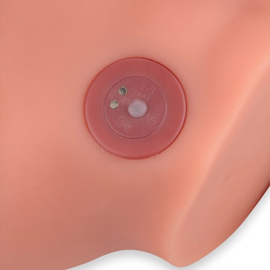 XISE - FREDERICO MASTURBADOR REALISTIC DILDO FRONT POSITION WITH THRUSTING 15 CM