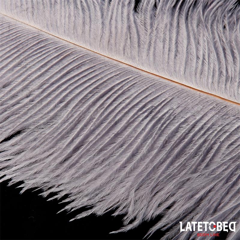 LATETOBED BDSM LINE - OSTRICH FEATHER 44 CM