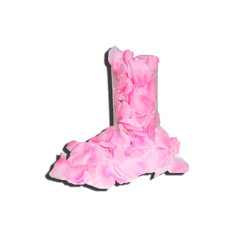 DIVERTY SEX - ROSE PETALS 120 UNITS PINK