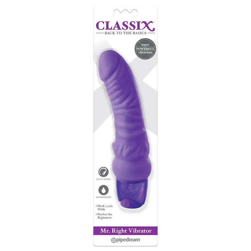 CLASSIX - VIBE MR. RIGHT PURPLE