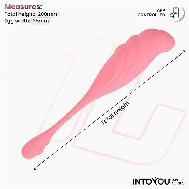 INTOYOU APP SERIES - VIBRATING EGG WITH WAVING AND APP USB
