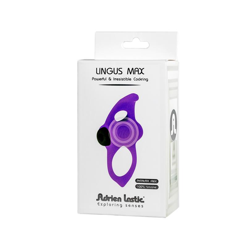ADRIEN LASTIC - LINGUS MAX-ANILLO