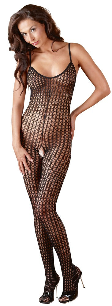 NO:XQSE - CATSUIT