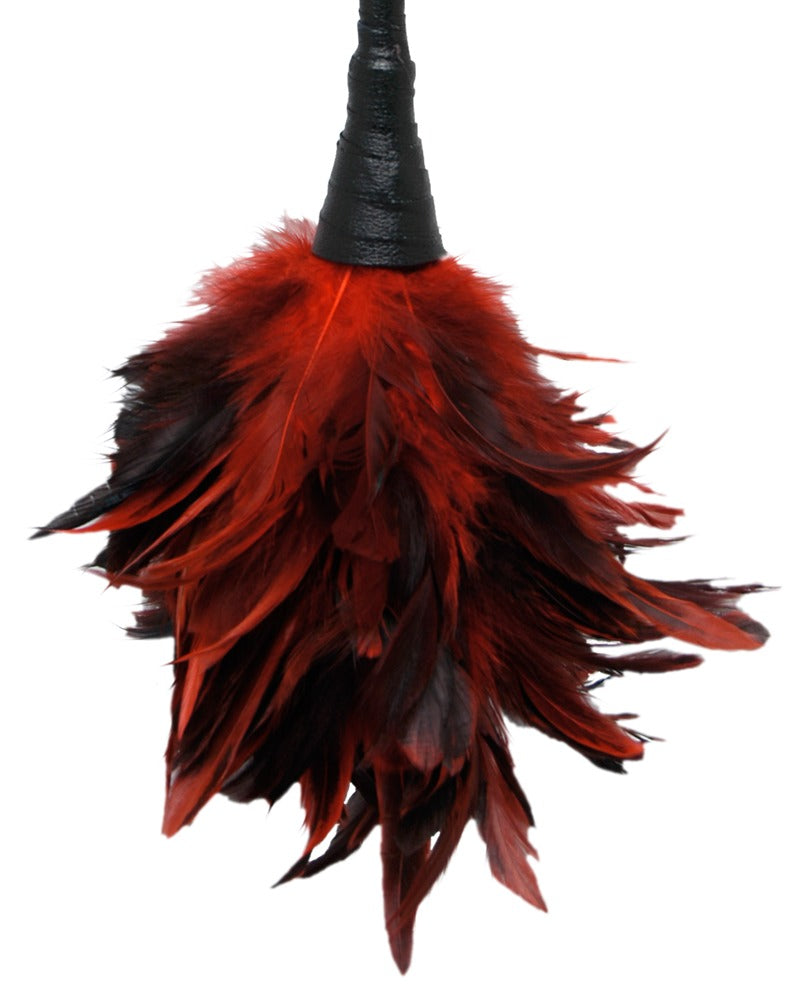 FETISH FANTASY SERIES - FRISKY FEATHER DUSTER