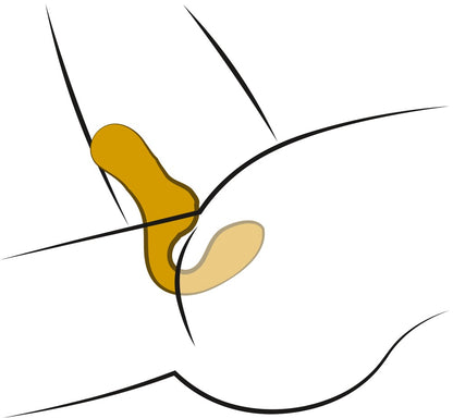 YOUR NEW FAVOURITE - DOUBLE VIBRATOR