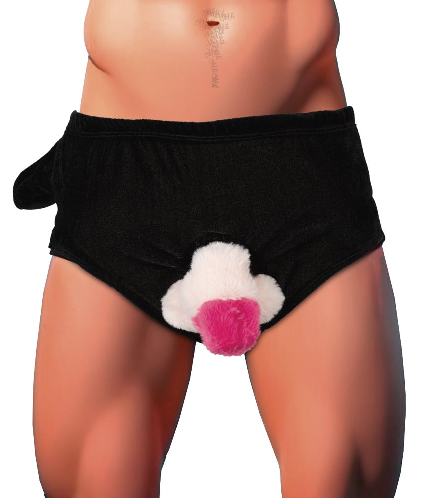 PENIS BRIEFS