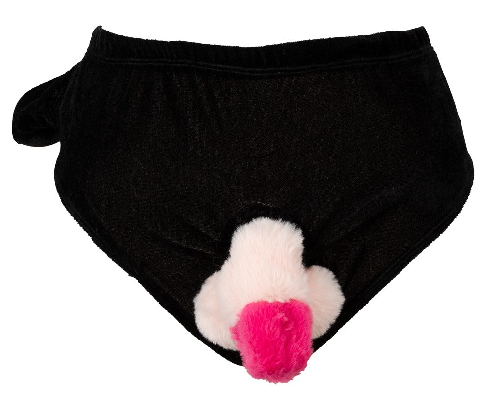 PENIS BRIEFS