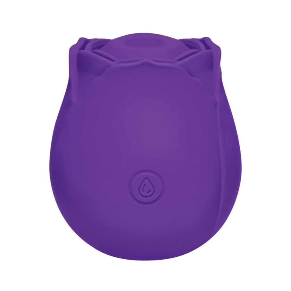 ME YOU US SIGNATURE - THE TAPPING ROSEBUD PURPLE