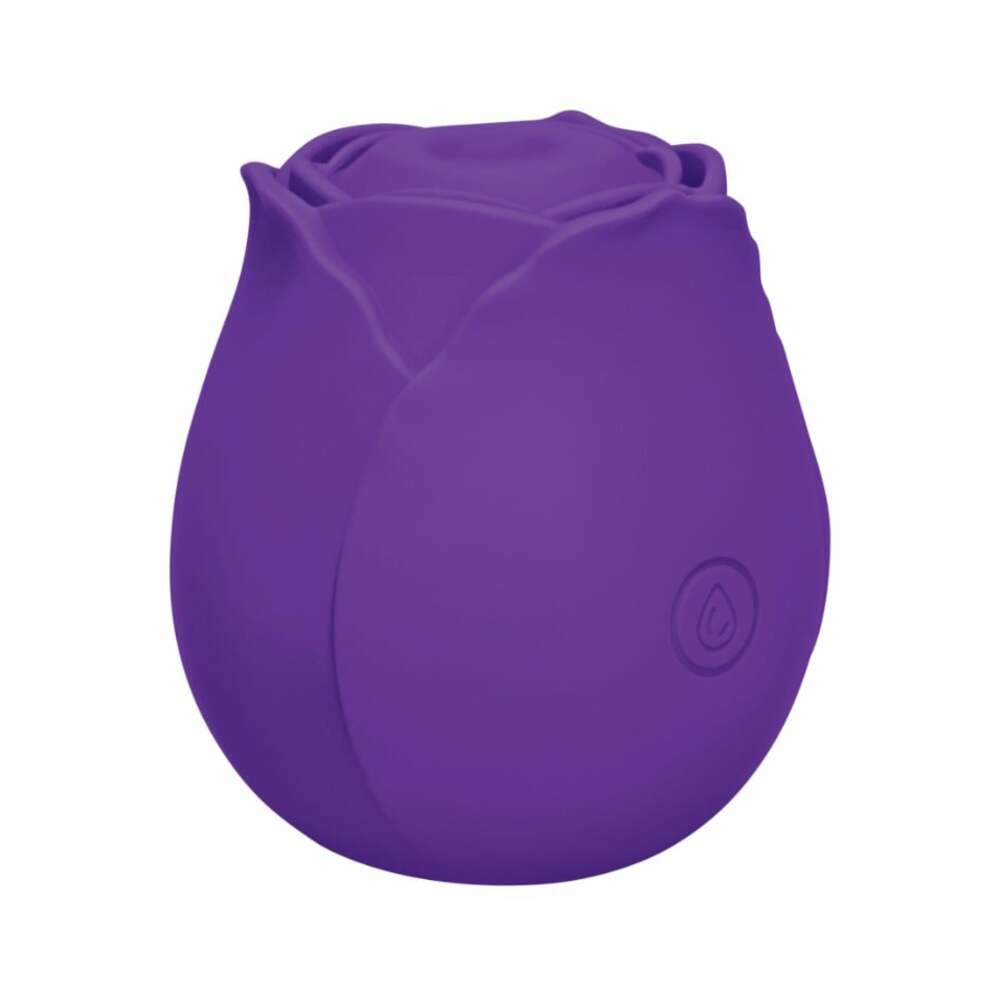 ME YOU US SIGNATURE - THE TAPPING ROSEBUD PURPLE