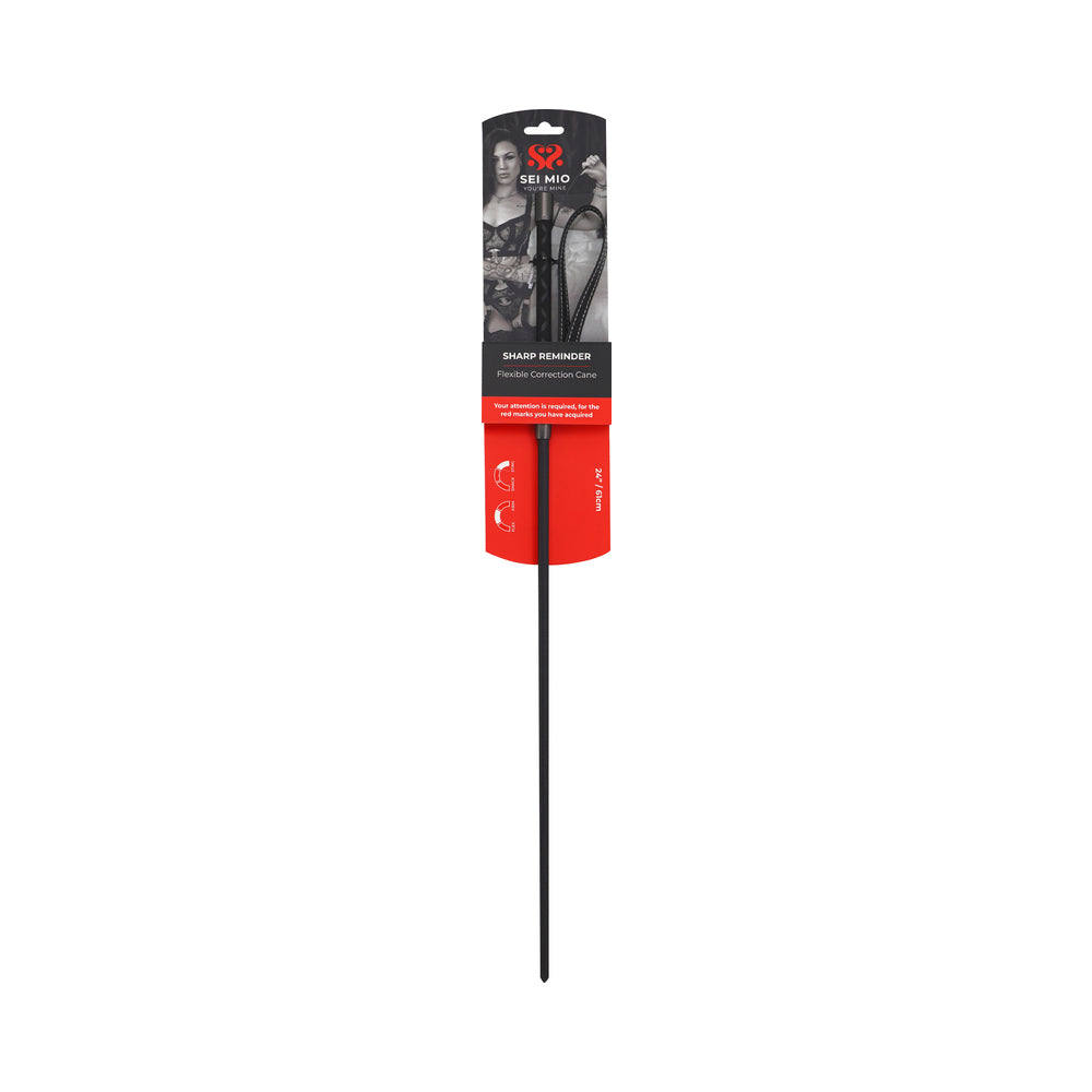 CREATIVE CONCEPTIONS - SEI MIO SHARP REMINDER ACRYLIC CANE