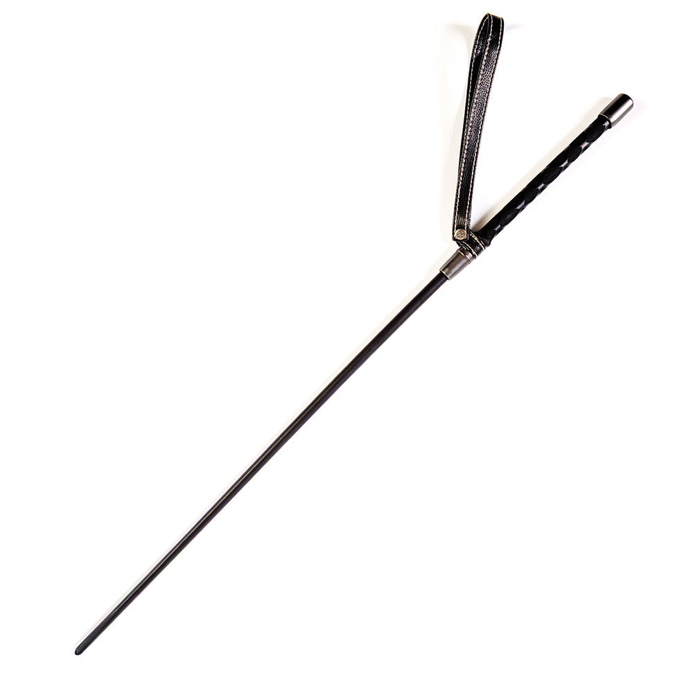 CREATIVE CONCEPTIONS - SEI MIO SHARP REMINDER ACRYLIC CANE