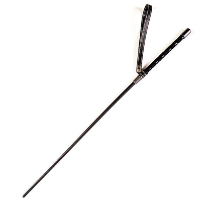CREATIVE CONCEPTIONS - SEI MIO SHARP REMINDER ACRYLIC CANE