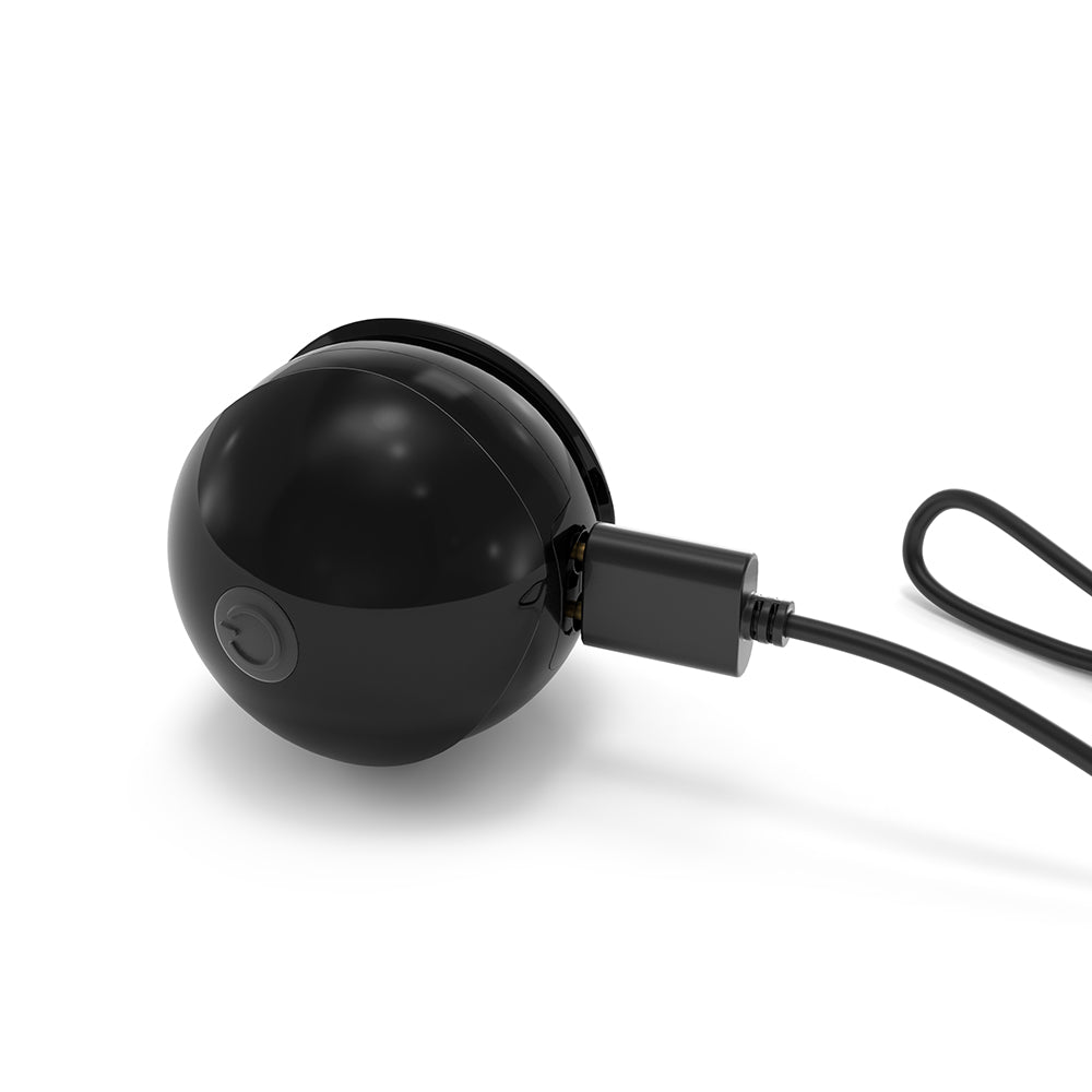 LOVELY PLANET - DORCEL TRAINING BALLS