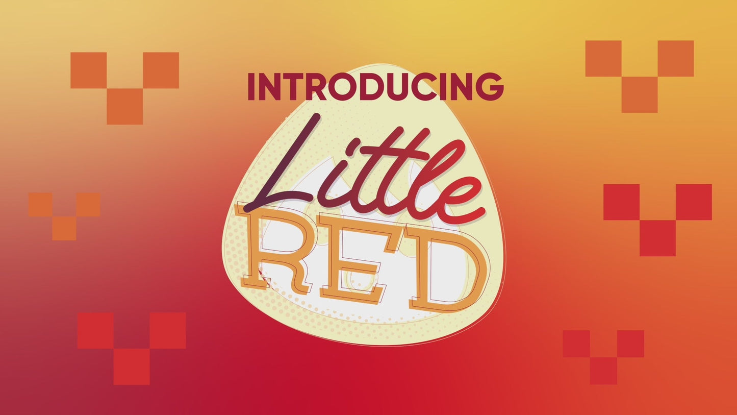 LITTLE RED BULLET VIBRATOR