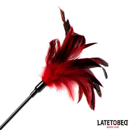 LATETOBED BDSM LINE - 2-IN-1 PADDLE WITH FEATHER