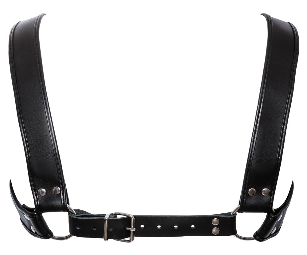 ZADO - HARNESS