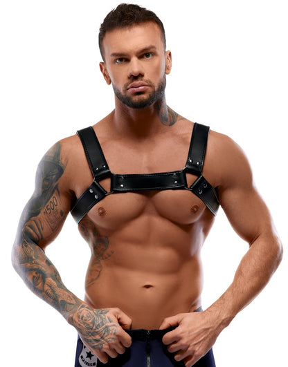 ZADO - HARNESS