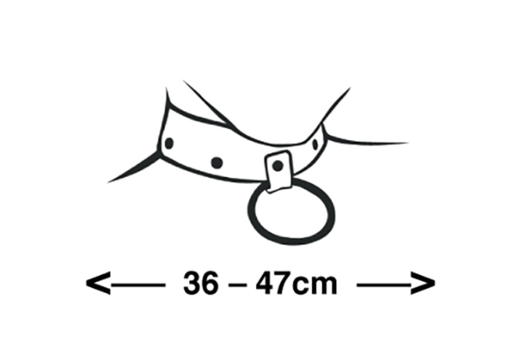 ZADO - CHAIN COLLAR