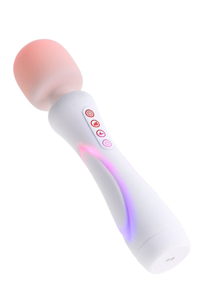 PARADISE PLEASURE PRODUCTS - THE WAND