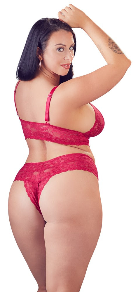 COTTELLI CURVES - BRA AND BRIEFS