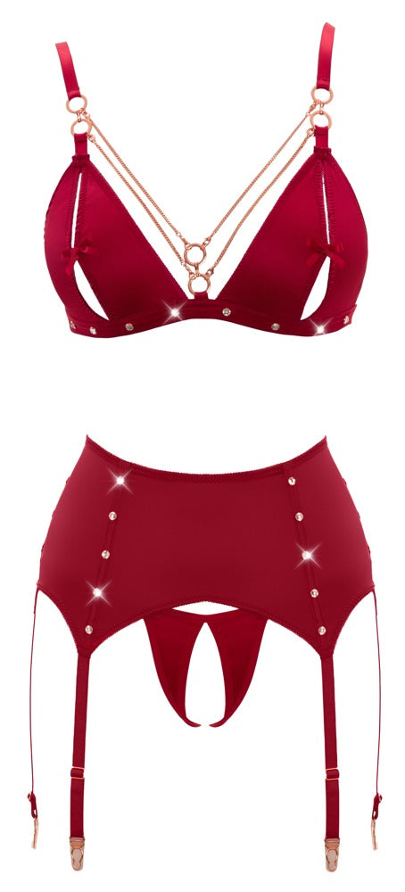 ABIERTA FINA - BRA AND SUSPENDER SET