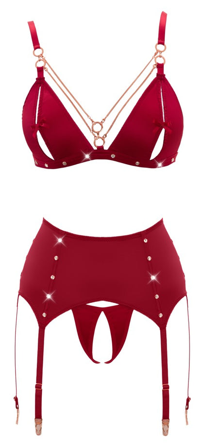 ABIERTA FINA - BRA AND SUSPENDER SET