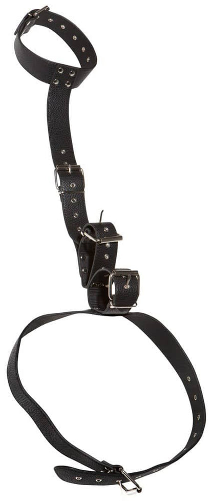 ORION - BAD KITTY - BAD KITTY NECK AND HAND RESTRAINTS