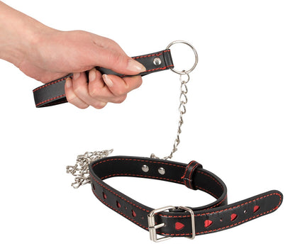 BAD KITTY - COLLAR AND LEASH
