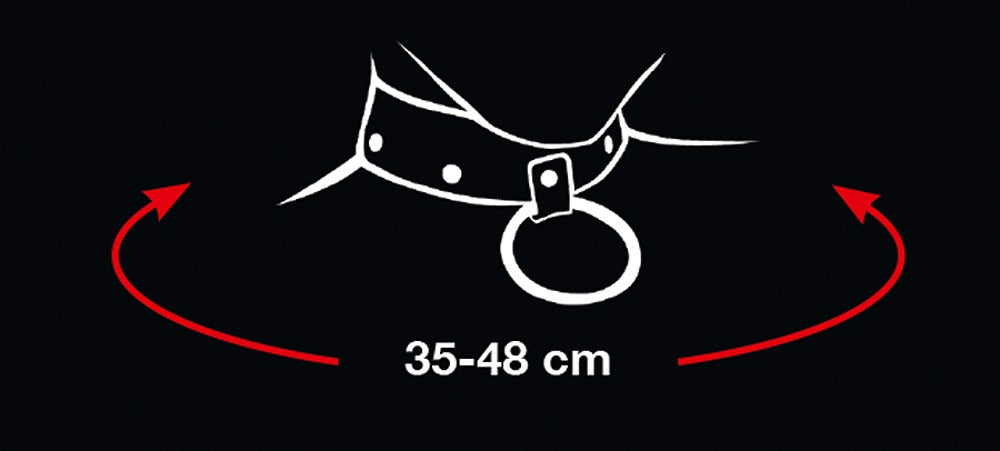 BAD KITTY - COLLAR AND LEASH
