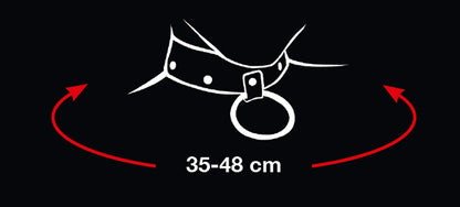 BAD KITTY - COLLAR AND LEASH