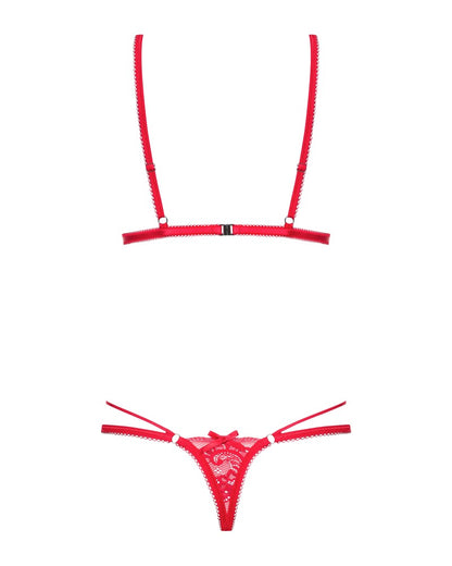 OBSESSIVE - LOVLEA TEDDY