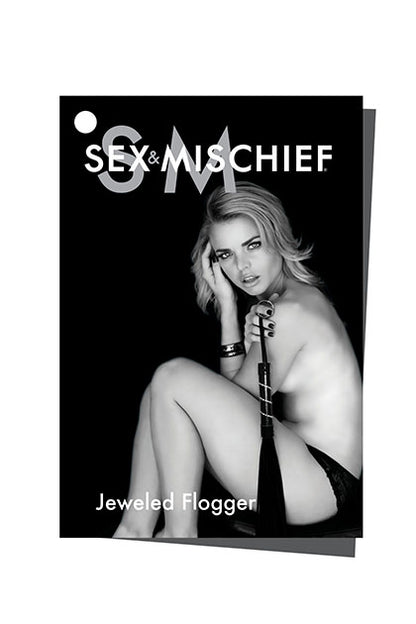 SEXO Y TRAVESURAS - LÁTIGO CON JOYAS