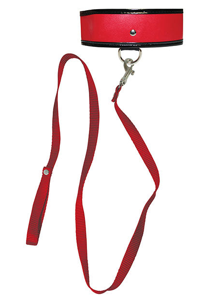 RED LEASH & COLLAR