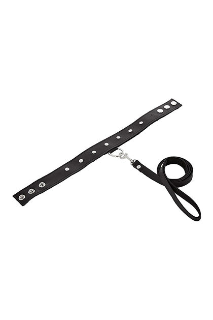 SPORTSHEETS - LEATHER LEASH & COLLAR
