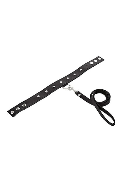 SPORTSHEETS - LEATHER LEASH & COLLAR