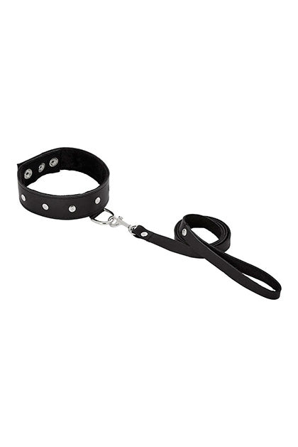 SPORTSHEETS - LEATHER LEASH & COLLAR